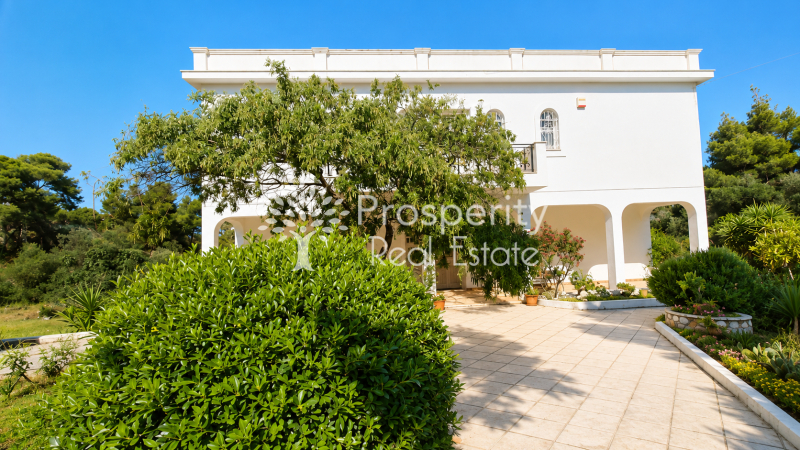 property-img