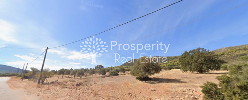 property-img